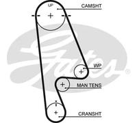 Cinghia distribuzione 5480XS GATES per HONDA ACCORD VI ACCORD VI Coupé SHUTTLE