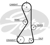 GATES 5481XS Cinghia dentata per CHERY,GREAT WALL,HAVAL,LANDWIND (JMC),MITSUBISH
