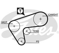 5513XS Cinghia dentata (MARCA-GATES)