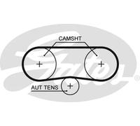 Cinghia dentata GATES 5516XS per AUDI A2 (8Z0) 1.4 2000-2005