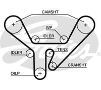 GATES 5518XS Cinghia dentata