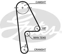 Cinghia di distribuzione GATES 5529XS