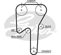 Cinghia distribuzione 5553XS GATES per VOLVO XC90 I S80 I