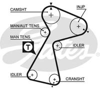 Cinghia distribuzione 5561XS GATES per RENAULT OPEL