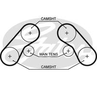 Cinghia distribuzione 5576XS GATES per KIA CARNIVAL II CARNIVAL I
