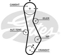 GATES 5579XS Cinghia dentata