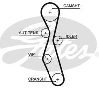 Cinghia distribuzione 5606XS GATES per FORD VOLVO PEUGEOT FIAT LANCIA CITROËN