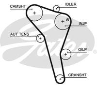 Gates Audi A4 (8D2, B5) A4 Avant (8D5, B5) Ford Galaxy ( 5622Xs