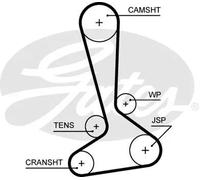 Cinghia distribuzione 5645XS GATES per LANCIA JEEP DODGE CHRYSLER