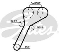 Cinghia distribuzione 5651XS GATES per FORD MAZDA