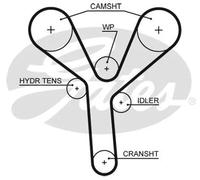 GATES 5660XS Cinghia dentata