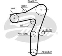 GATES 5663XS Cinghia dentata