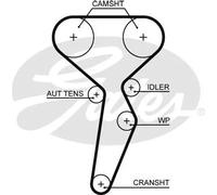 GATES Chingia Di Distribuzione 5671XS
