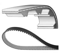 DAYCO 941011 Cinghia dentata