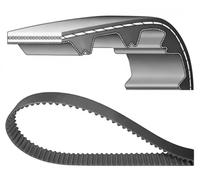 DAYCO 94444 Cinghia dentata