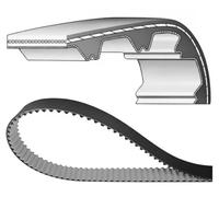 DAYCO 94962 Cinghia dentata