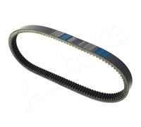 ASHIKA 40-0W-W11 Cinghia dentata