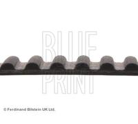 Cinghia distribuzione con profilo dente arrotondato ADC47518 BLUE PRINT