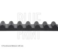Cinghia distribuzione con profilo dente arrotondato ADC47552 BLUE PRINT
