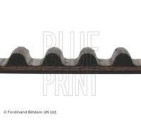 Cinghia distribuzione con profilo dente arrotondato ADH27517 BLUE PRINT