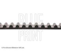 BLUE PRINT ADT37512 Cinghia dentata