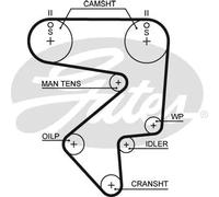 GATES T125RB Cinghia dentata