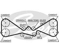 GATES T328RB Cinghia dentata