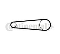 CINGHIA DI TRASMISSIONE (CONTIENE UNA SOLA CINGHIA)