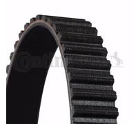 Cinghia distribuzione CT1234 CONTINENTAL CTAM per FORD FORD USA