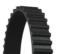 CONTITECH CT555 Cinghia dentata