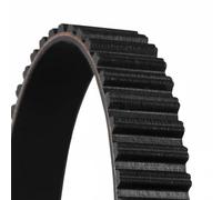 Cinghia di distribuzione CONTINENTAL CT 950