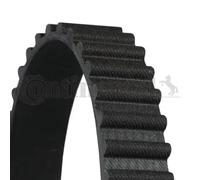 Cinghia distribuzione HB135-20 CONTINENTAL CTAM