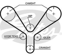 GATES T286 Cinghia dentata