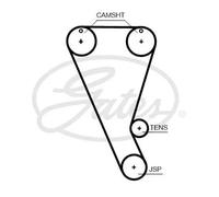 Cinghia distribuzione T363HOB GATES per FORD FORD USA