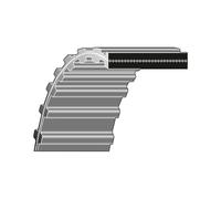 Cinghia doppia dentatura dentata rasaerba ISEKI SCMA48-M 8663-203-001-0