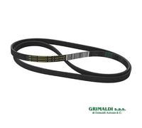 CINGHIA ELASTICA CESTO LAVATRICE BOSCH SIEMENS 11003842