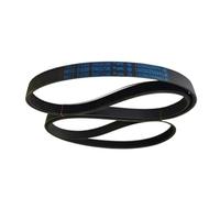 Cinghia for lavatrice, 1194 J5, PJE, EL, compatibile con accessori for lavatrici Indesit, Hotpoint-Ariston