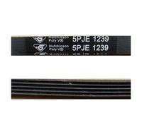 Cinghia for lavatrice 4EPJ1258 5EPJ1258 8EPH1258 5EPJ1190 5PJE1239 6EPJ1216 8PH1189 8PH1190(5PJE 1239)