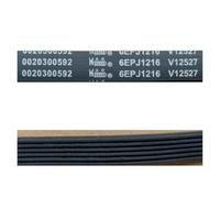 Cinghia for lavatrice 4EPJ1258 5EPJ1258 8EPH1258 5EPJ1190 5PJE1239 6EPJ1216 8PH1189 8PH1190(6EPJ1216)