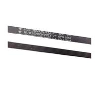 Cinghia for lavatrice a rulli 1 pezzo 6PH1952 6PH 1952