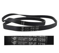 Cinghia for ricambi lavatrice 5PJE 1281 5EPJ1270 8EPH1258 6PJE1274 5PJE1239 5EPJ1105(5PJE1239)