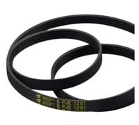 Cinghia for ricambi lavatrice 5PJE 1281 5EPJ1270 8EPH1258 6PJE1274 5PJE1239 5EPJ1105(5PJE1281)