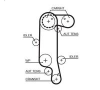 Cinghia GATES 5565XS per AUDI A2 (8Z0) 1.4 2000-2005