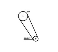 Cinghia GATES 5713XS