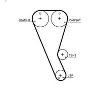 Cinghia GATES T363HOB FORD TRANSIT V363 Autobus (FAD, FBD) 2 2016-2024