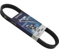 Cinghia High Performance DAYCO HP3020