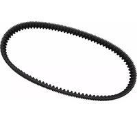 Cinghia High Performance Extreme DAYCO HPX5009