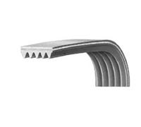 CINGHIA LAVATRICE 1213 H8 POLY-V