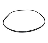 Cinghia Lavatrice 1244 J4 Hotpoint Ariston Indesit Beko C00876994 4PJE Poly