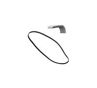 CINGHIA LAVATRICE 1991 H6 TEM (PHE) POLY-V